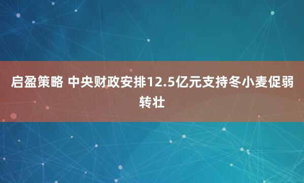 启盈策略 中央财政安排12.5亿元支持冬小麦促弱转壮