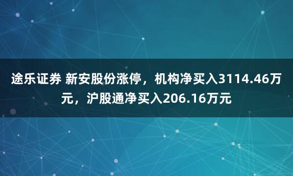 途乐证券 新安股份涨停，机构净买入3114.46万元，沪股通净买入206.16万元
