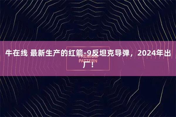 牛在线 最新生产的红箭-9反坦克导弹，2024年出厂！
